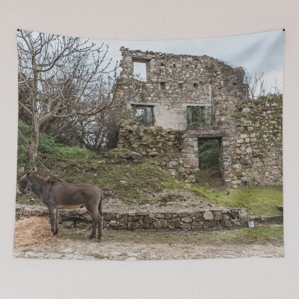 Item preview, Donkey in an Ancient Abandoned Italian Village designed and sold by Jon Shore.