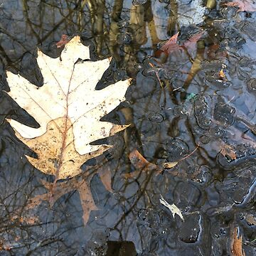 Artwork thumbnail, Golden Leaf by 3Spoke