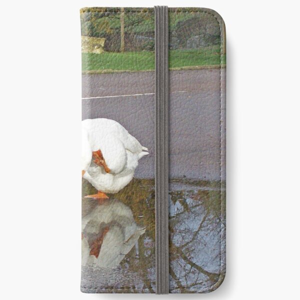 “I look so pretty in here!” iPhone Wallet