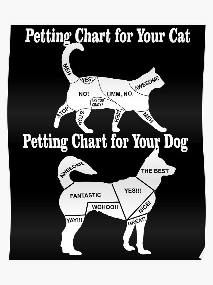 Dog Chart