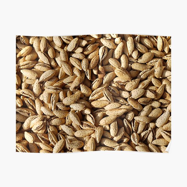 Food - Yummie almonds Poster