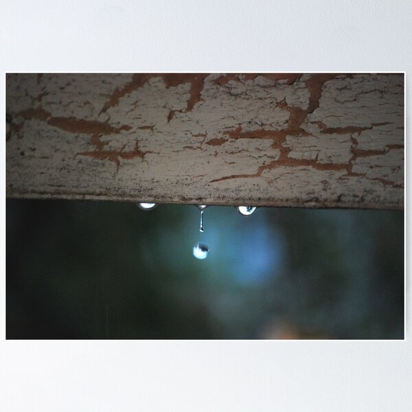 Artikelvorschau, Nature's Symmetry entworfen und verkauft von Jenni Greene.