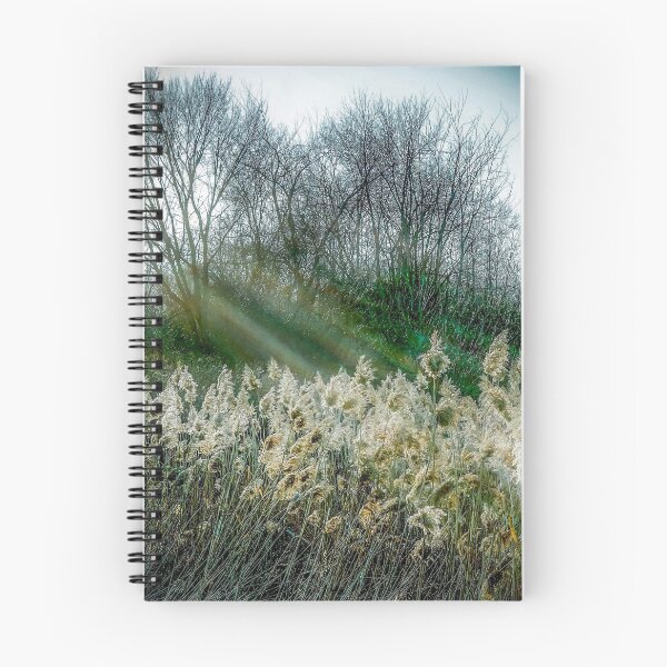 Item preview, beaming designed and sold by Kendall McKernon.