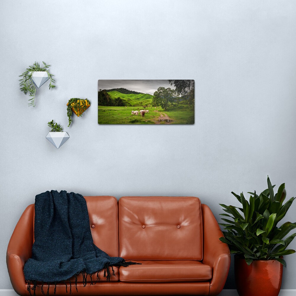 Greenfields,O'Çonnell River, Qld Metal Print