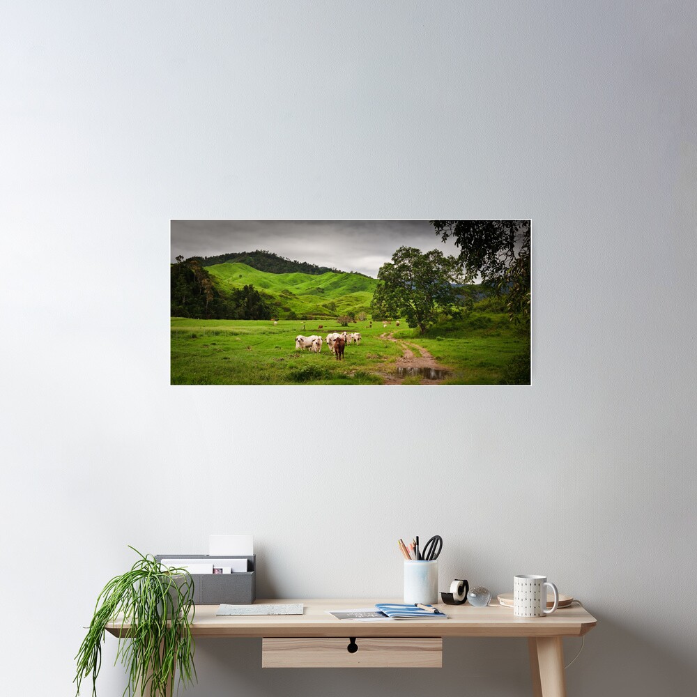 Greenfields,O'Çonnell River, Qld Poster