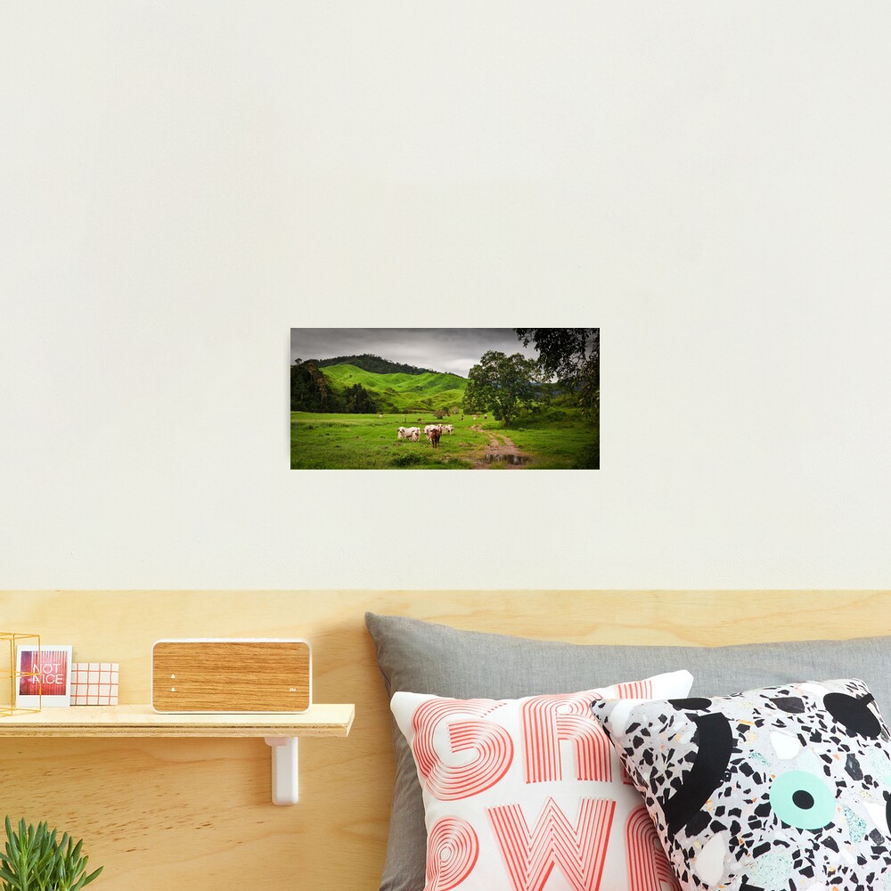 Greenfields,O'Çonnell River, Qld Photographic Print