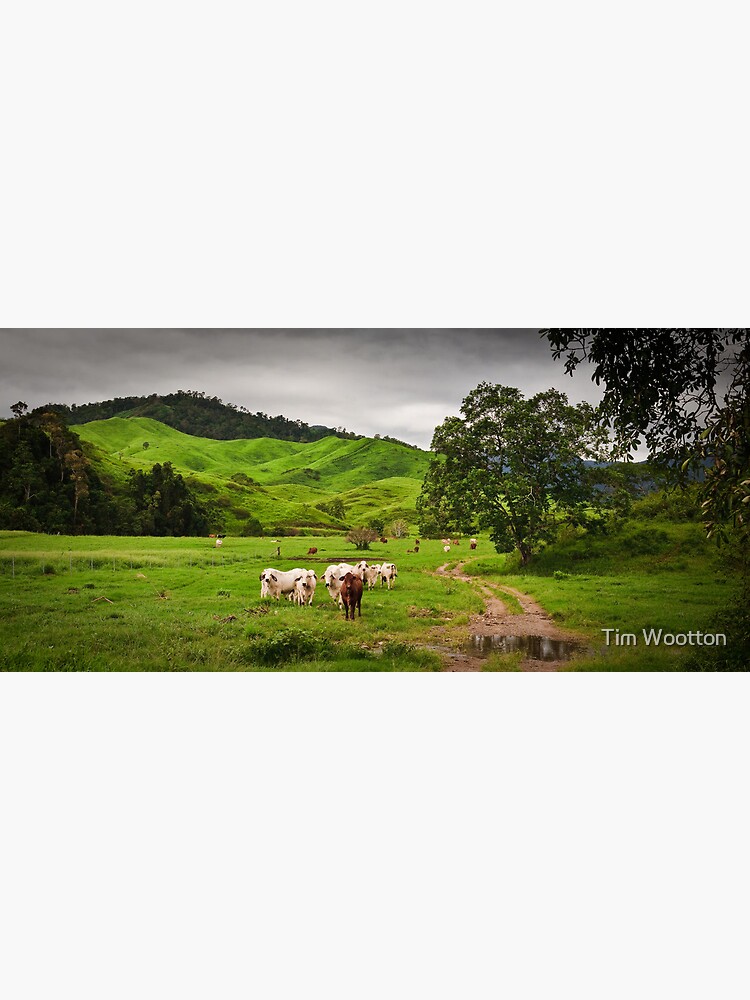 Greenfields,O'Çonnell River, Qld by wootton60