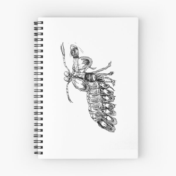 Item preview, Mantis Shrimp designed and sold by TheDefectiveOne.