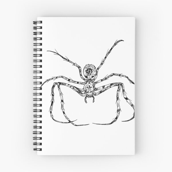 Item preview, Hanging Spider designed and sold by TheDefectiveOne.