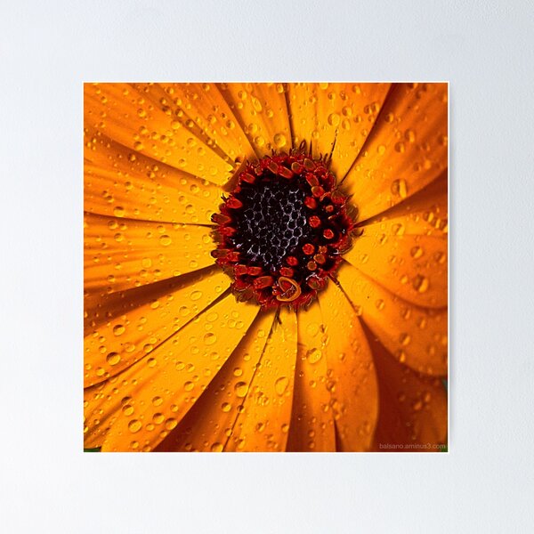 Item preview, morning dew designed and sold by balsano.