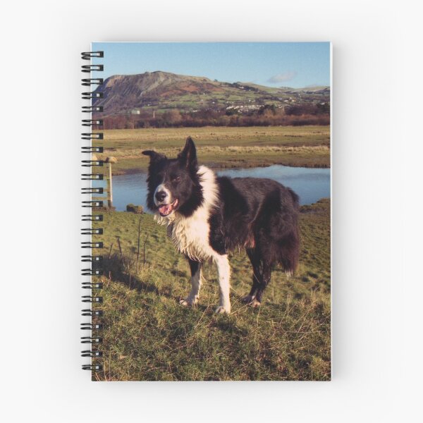 Item preview, Indy on the Cob designed and sold by Michael Haslam.