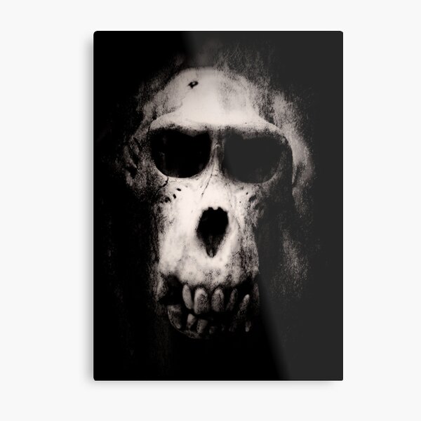 ...baboon... Metal Print