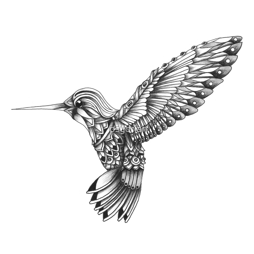 "ornate colibri"psydrian  redbubble
