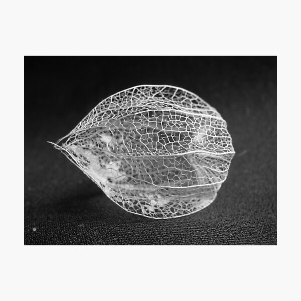 simple complexity Photographic Print