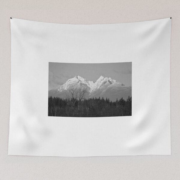 Item preview, A poor tribute to Ansel... designed and sold by RichImage.