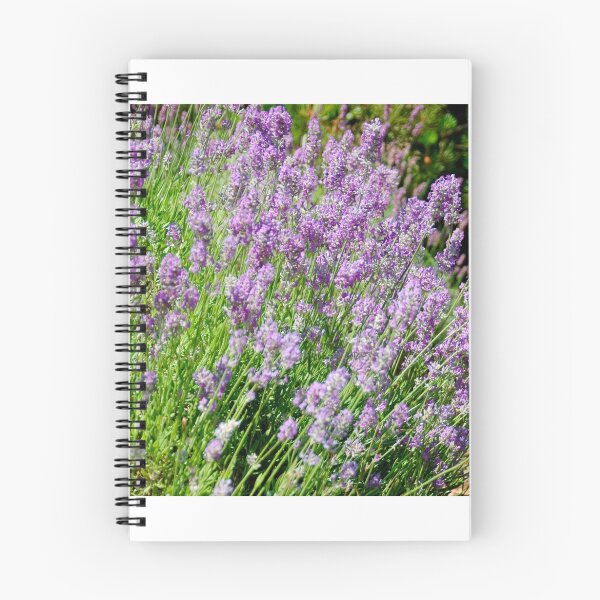 Item preview, Lavender Plants Forever designed and sold by The Accidental Farmers.