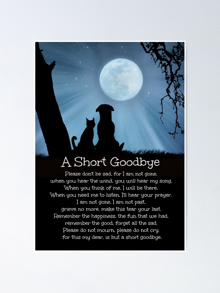 Dog Cat Memorial Sympathy Tribute Spiritual Poem