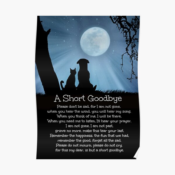 Dog Cat Memorial Sympathy Tribute Spiritual Poem Poster