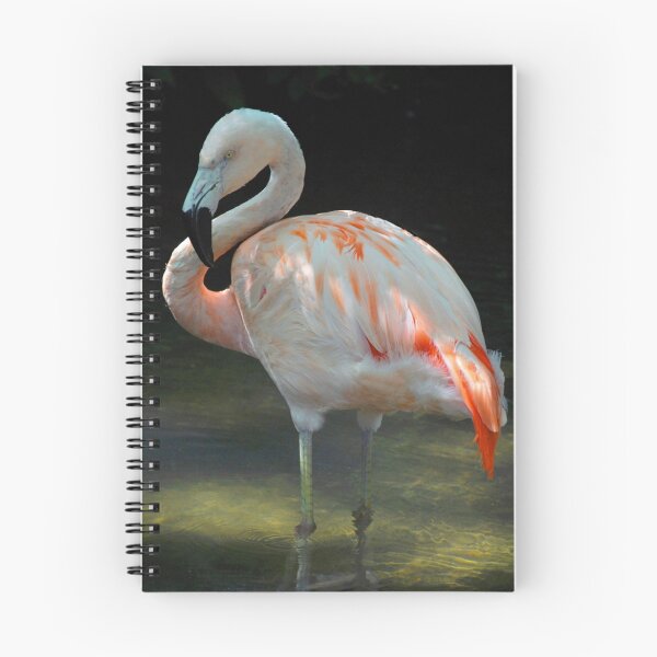 Item preview, Cooling off - Flamingo designed and sold by Poete100.