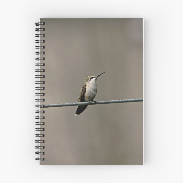 Item preview, Hummer On The Line designed and sold by Deb Oppermann.