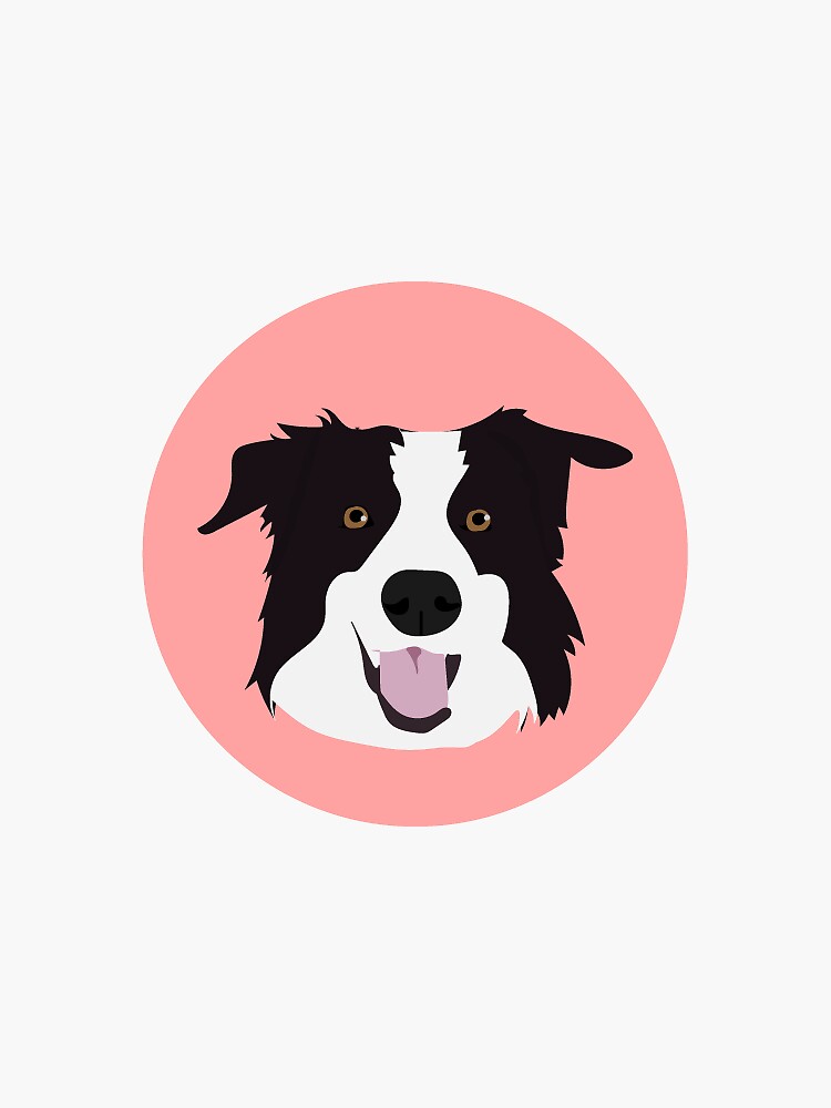 Border Collie by ProjectAmity