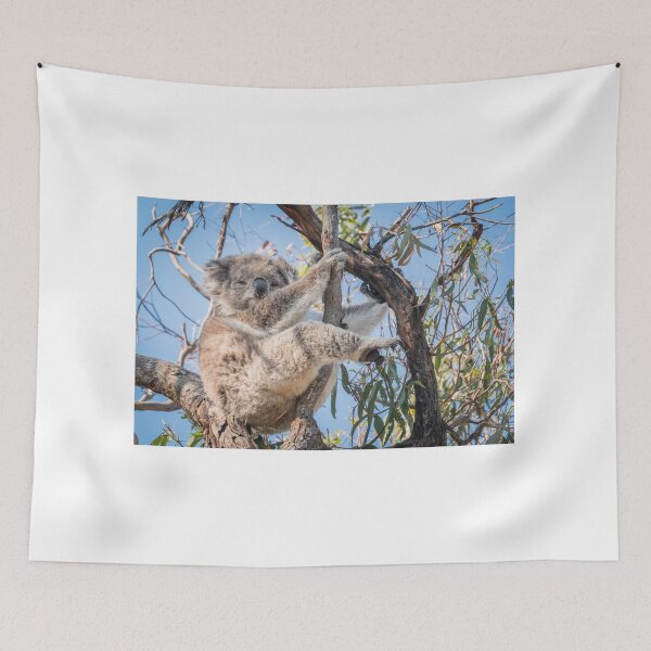 Item preview, Koala  designed and sold by Avery Caudill.