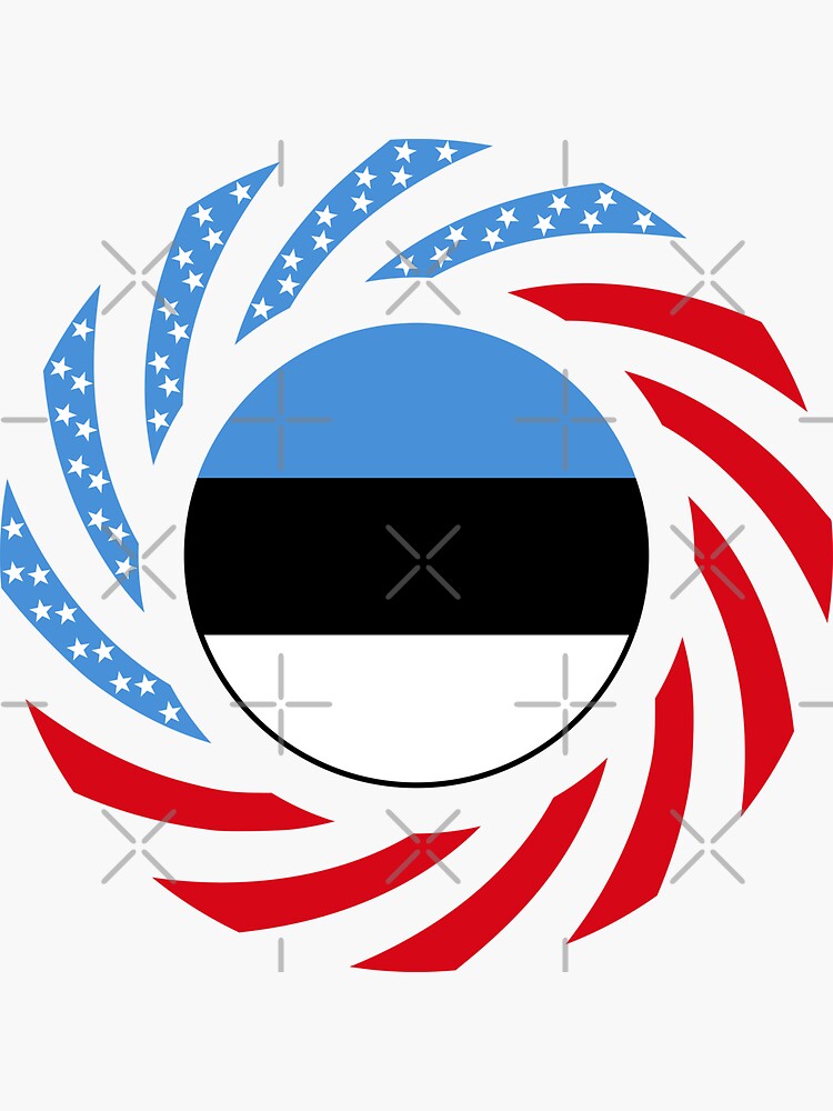 Estonian American Multinational Patriot Flag Series by carbonfibreme