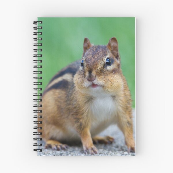 Item preview, Chipmunk designed and sold by WorldDesign.