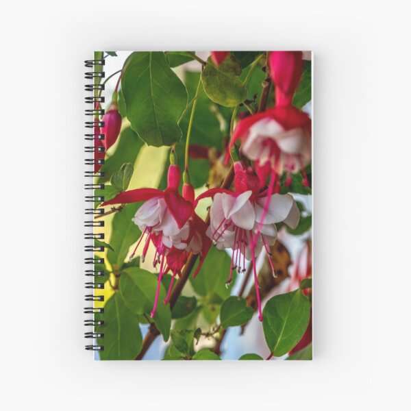 Late September Fuchsia Spiral Notebook