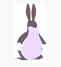 Big Chungus Photographic Print