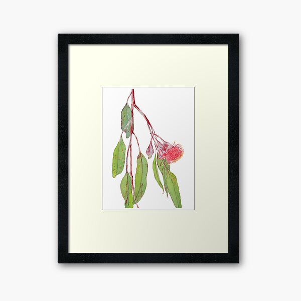 Item preview, Flowering Silver Princess Eucalyptus Branch - Watercolour designed and sold by Zoya Makarova.