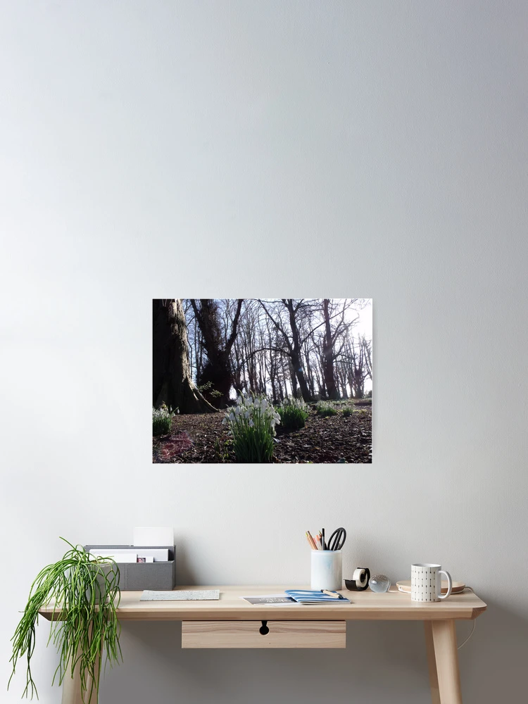 Thumbnail 2 of 3, Poster, Spring Light designed and sold by Gerry  Temple.