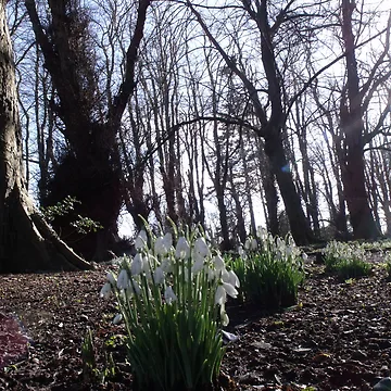 Artwork thumbnail, Spring Light by Gerry  Temple