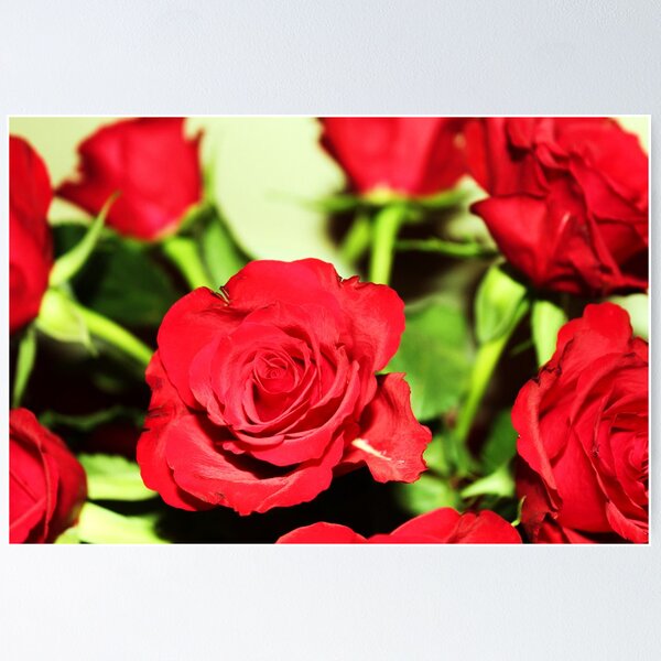 Item preview, bunch of red roses! designed and sold by xxnatbxx.