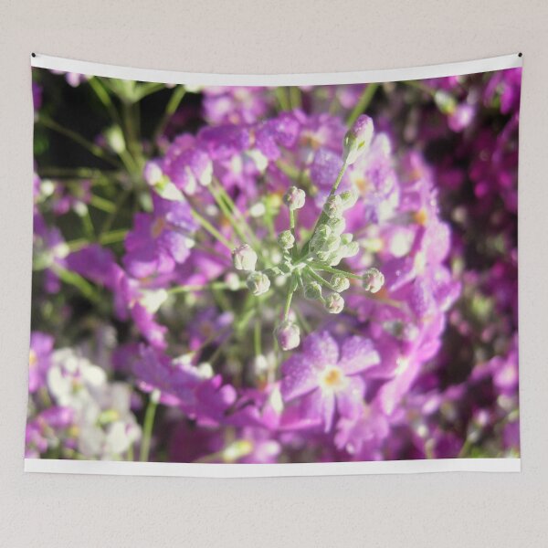 Item preview, Blossomed pink/violet Flowers  designed and sold by cjcphotography.