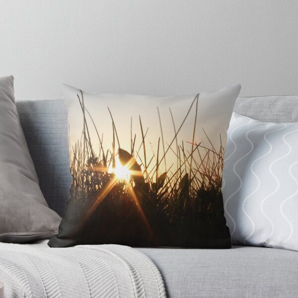 Aperçu de l'œuvre the sun and the grass créée et vendue par JMB330.