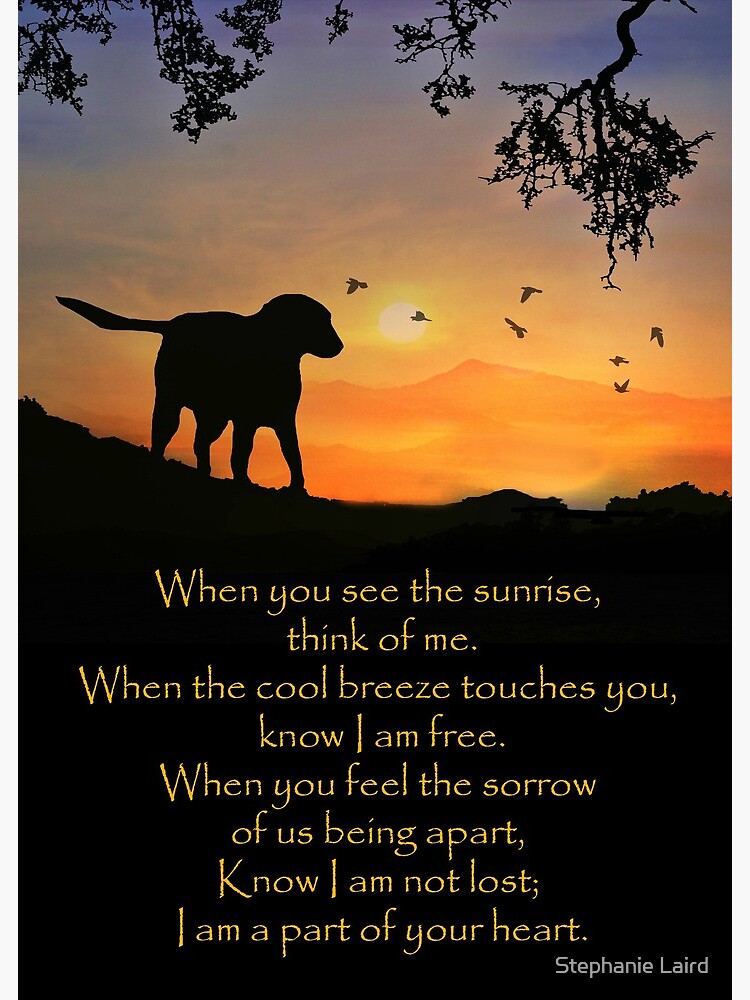 Spiritual Dog Sympathy Poem