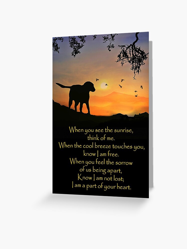 Heartfelt Condolences Card For Loss Of A Pet - Unique Sentiental Poe