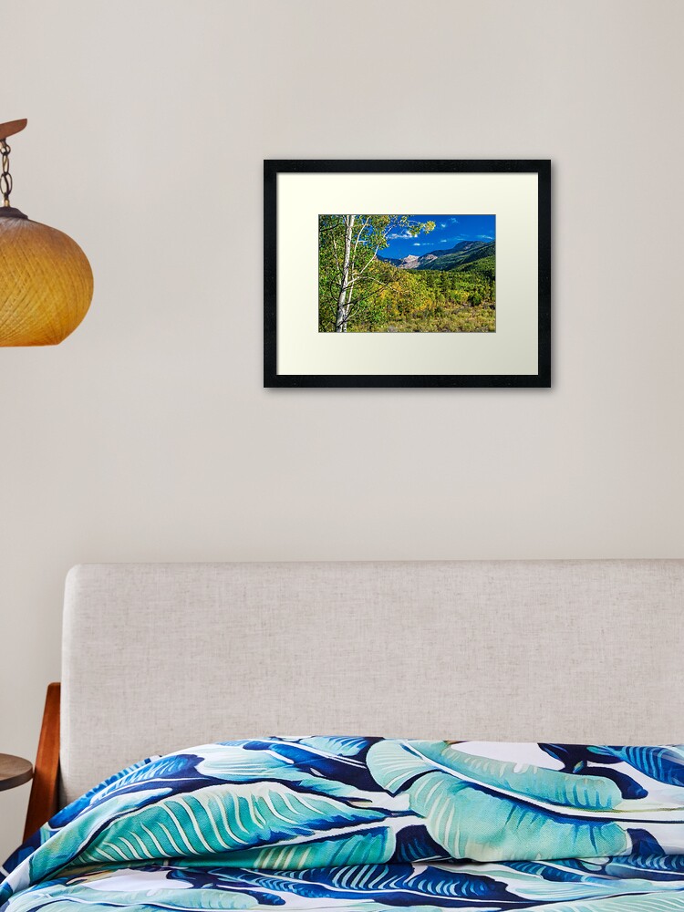 Thumbnail 2 of 7, Framed Art Print, Looking Back On Independence Pass designed and sold by nikongreg.