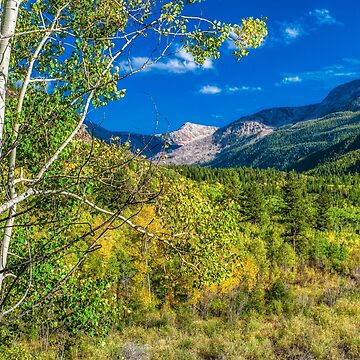 Artwork thumbnail, Looking Back On Independence Pass by Gregory J Summers
