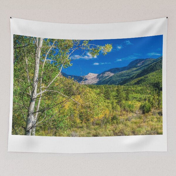 Item preview, Looking Back On Independence Pass   designed and sold by Gregory J Summers.