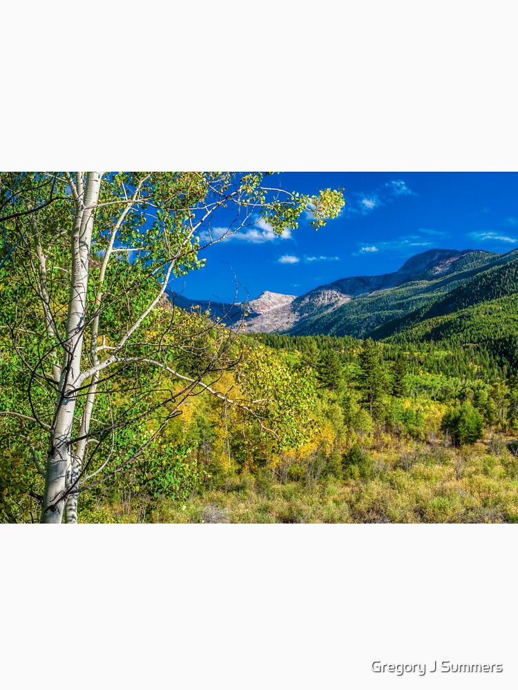 Looking Back On Independence Pass by nikongreg