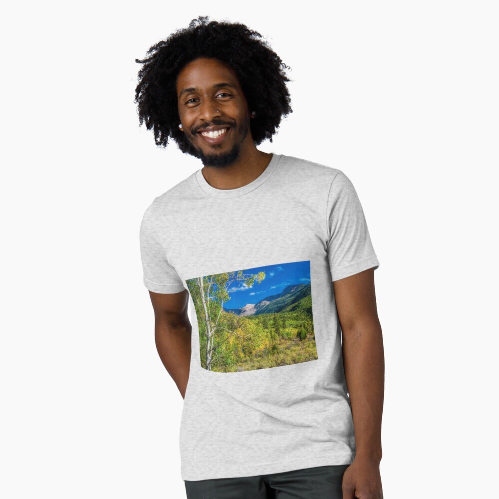 Item preview, Tri-blend T-Shirt designed and sold by nikongreg.