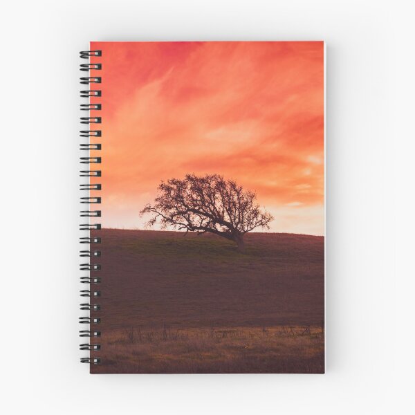 Item preview, Hollister Sunset - Orange designed and sold by Garrett Fisher.