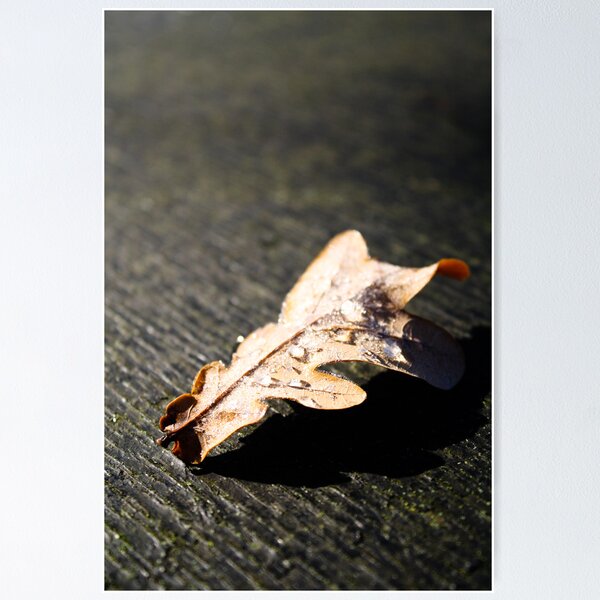 Item preview, Autumn glow designed and sold by Jonathon Wilson.