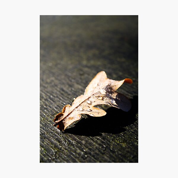 Item preview, Autumn glow designed and sold by Jonathon Wilson.