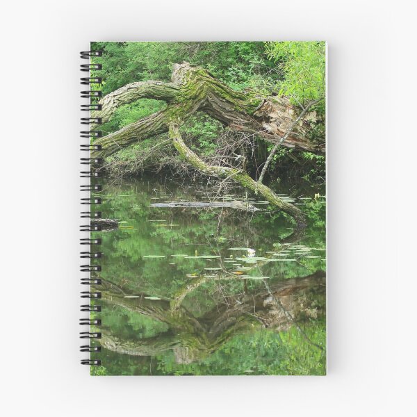 Item preview, Reflections designed and sold by Chris Coates Photography.com.