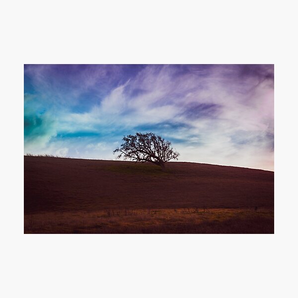 Hollister Sunset - Blue Photographic Print