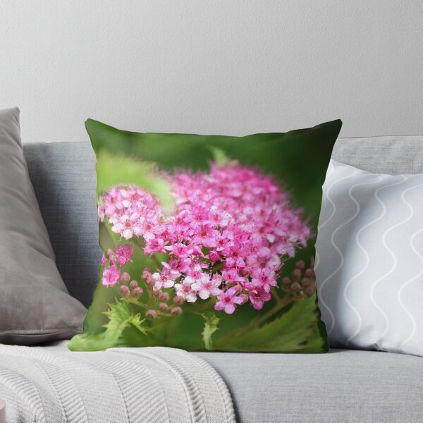 Item preview, Sprinkles of Pinkles designed and sold by WalnutHill.