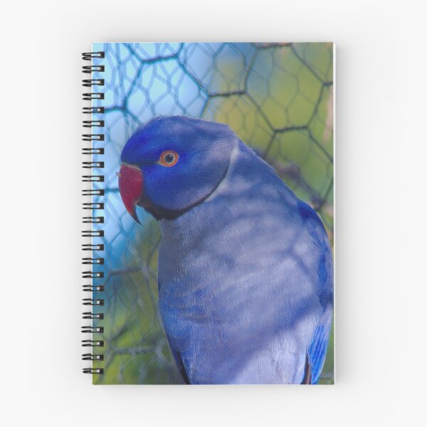 Item preview, Ringneck blue designed and sold by ndarby1.